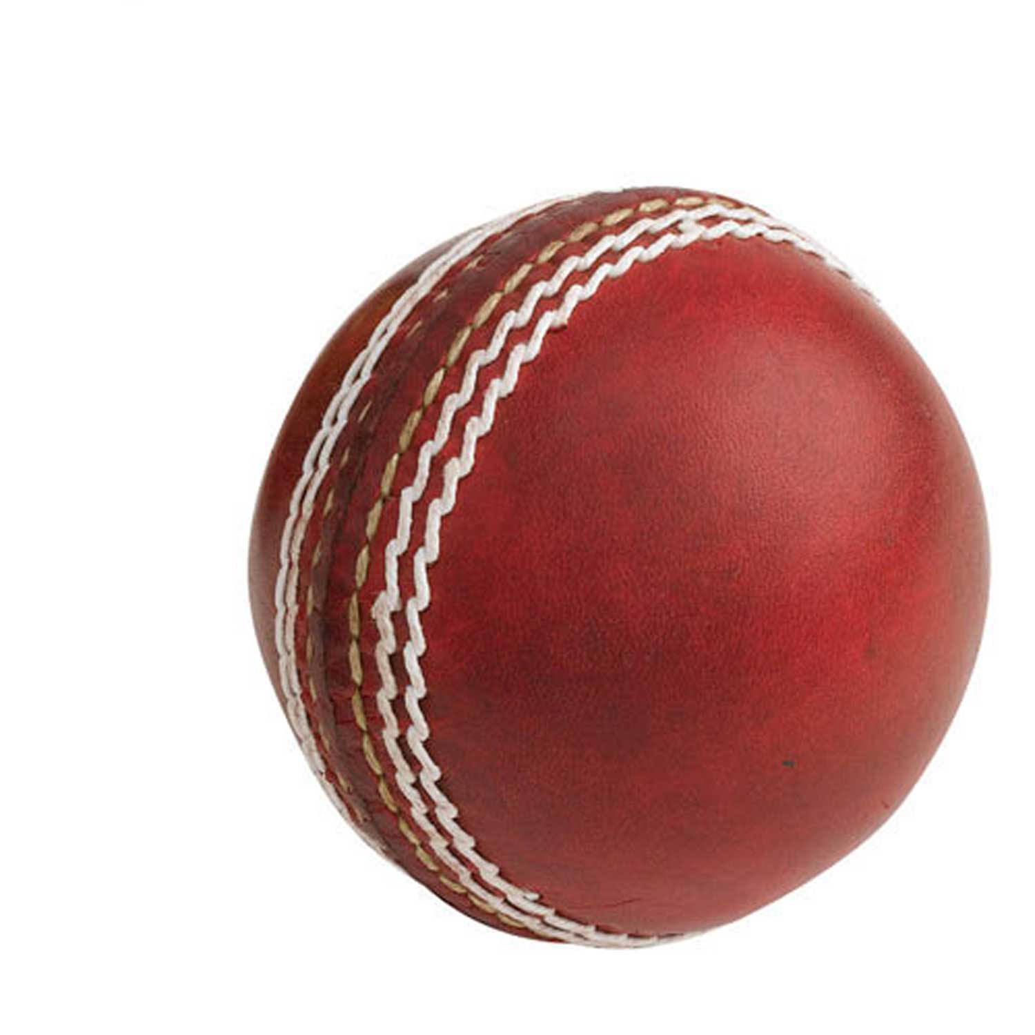 Gray Nicolls Autograph Cricket Ball