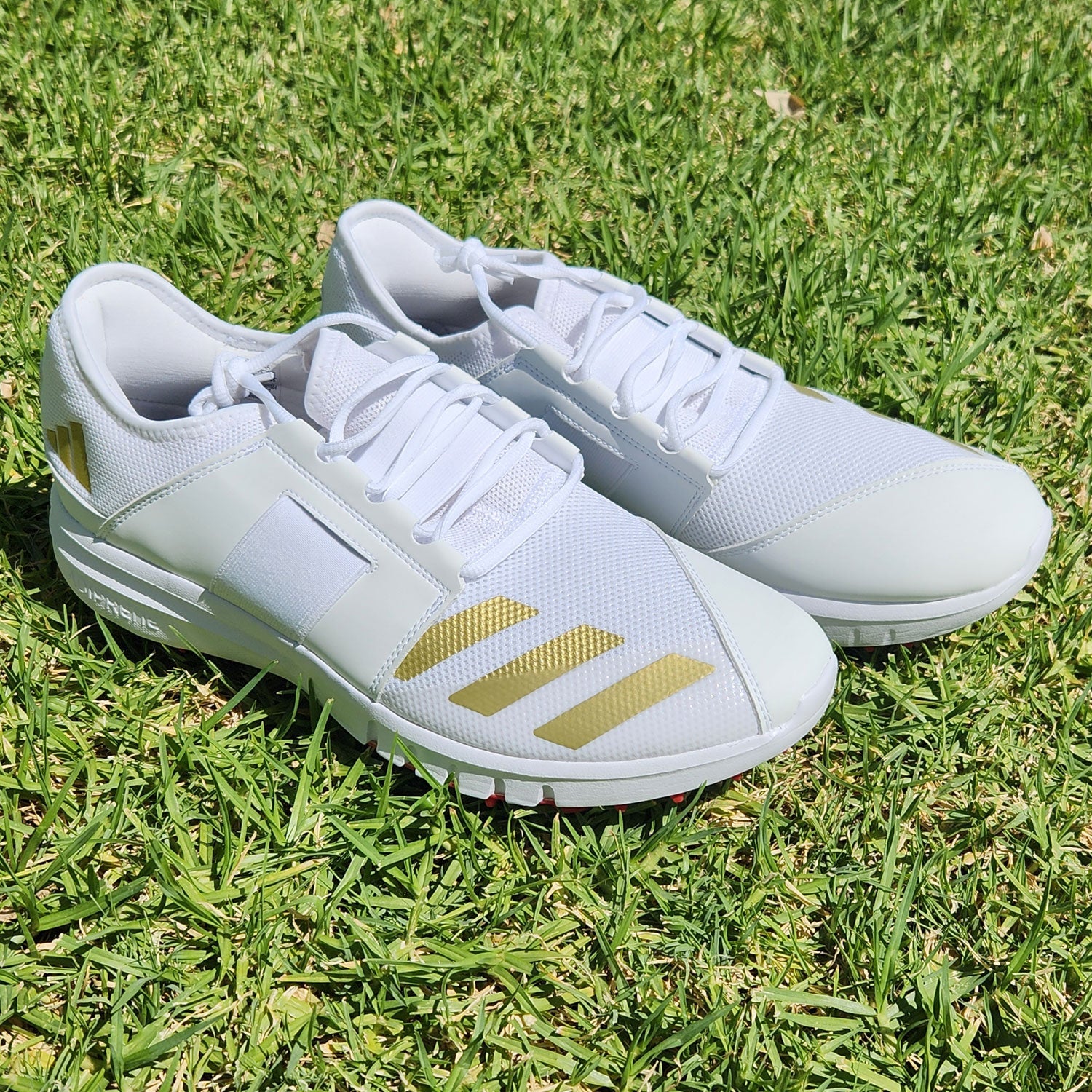 adidas gazelle silver green womens Adidas Adipower Vector 20 Spike Cricket Shoes (IG6750) – Province Sports main image 0