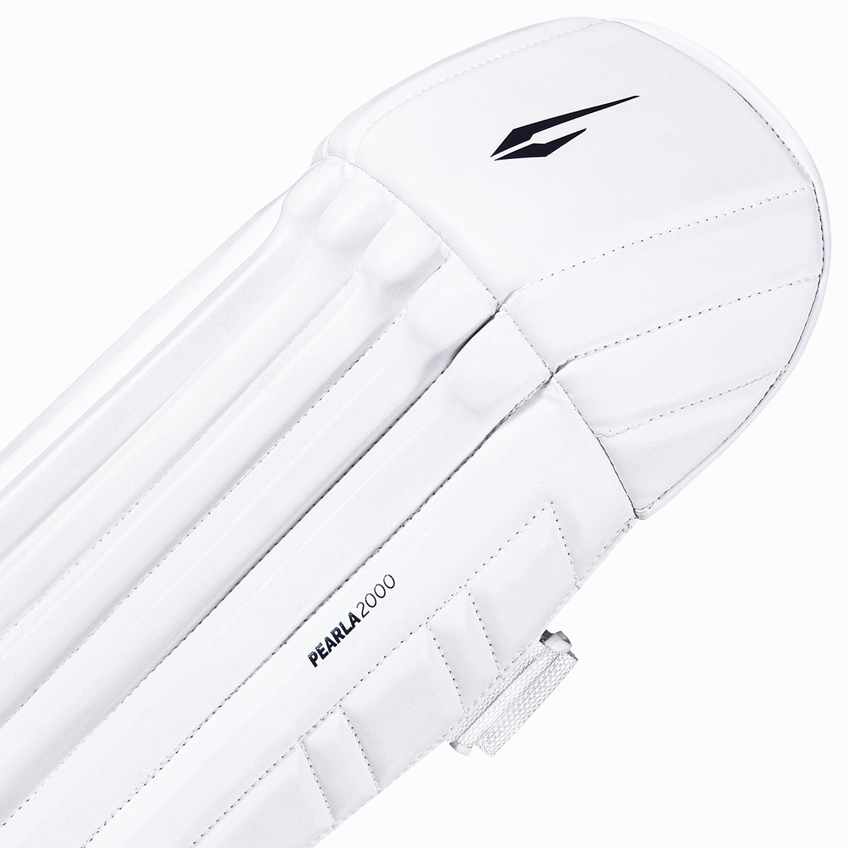 DSC Pearla 2000 Wicket Keeping Pads - The Cricket & Football Warehouse