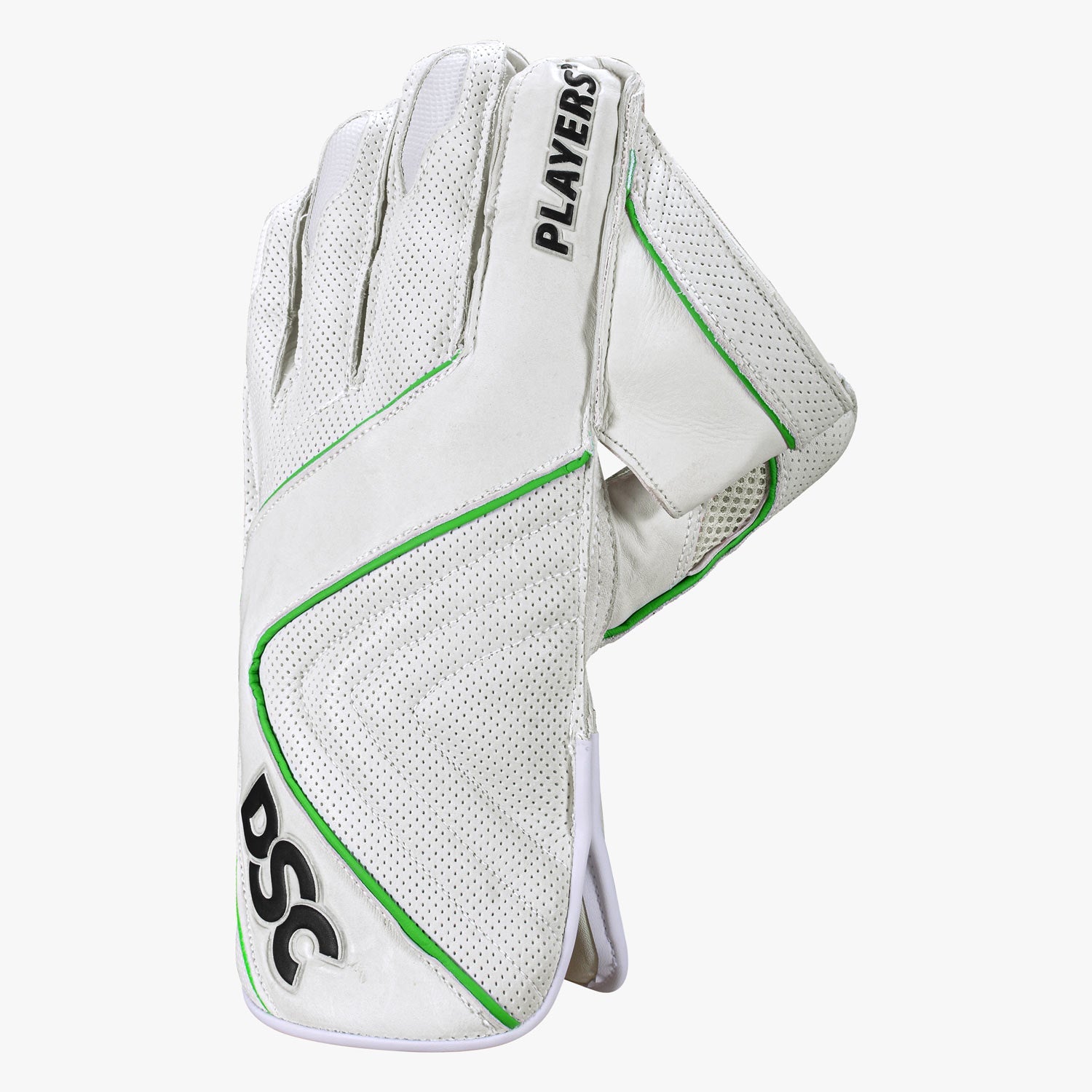 DSC Spliit Players Wicket Keeping Gloves - The Cricket & Football Warehouse