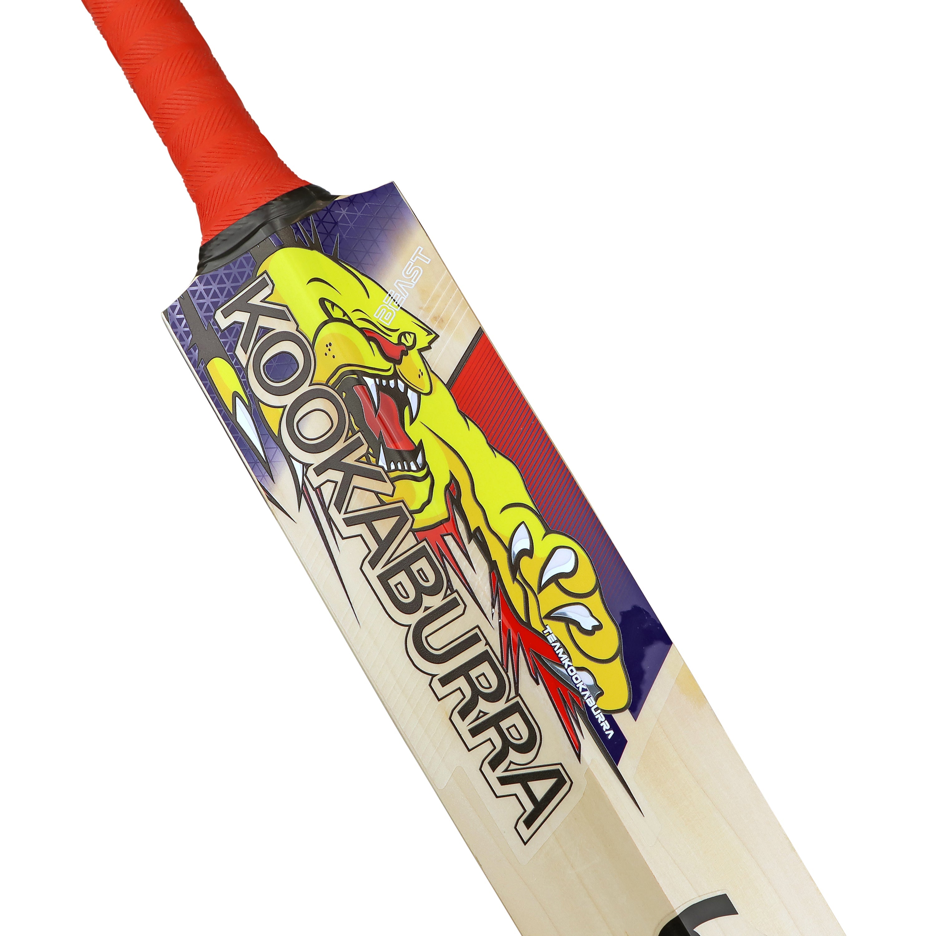 Kookaburra Beast Pro 6.0 Senior Bat - The Cricket & Football Warehouse
