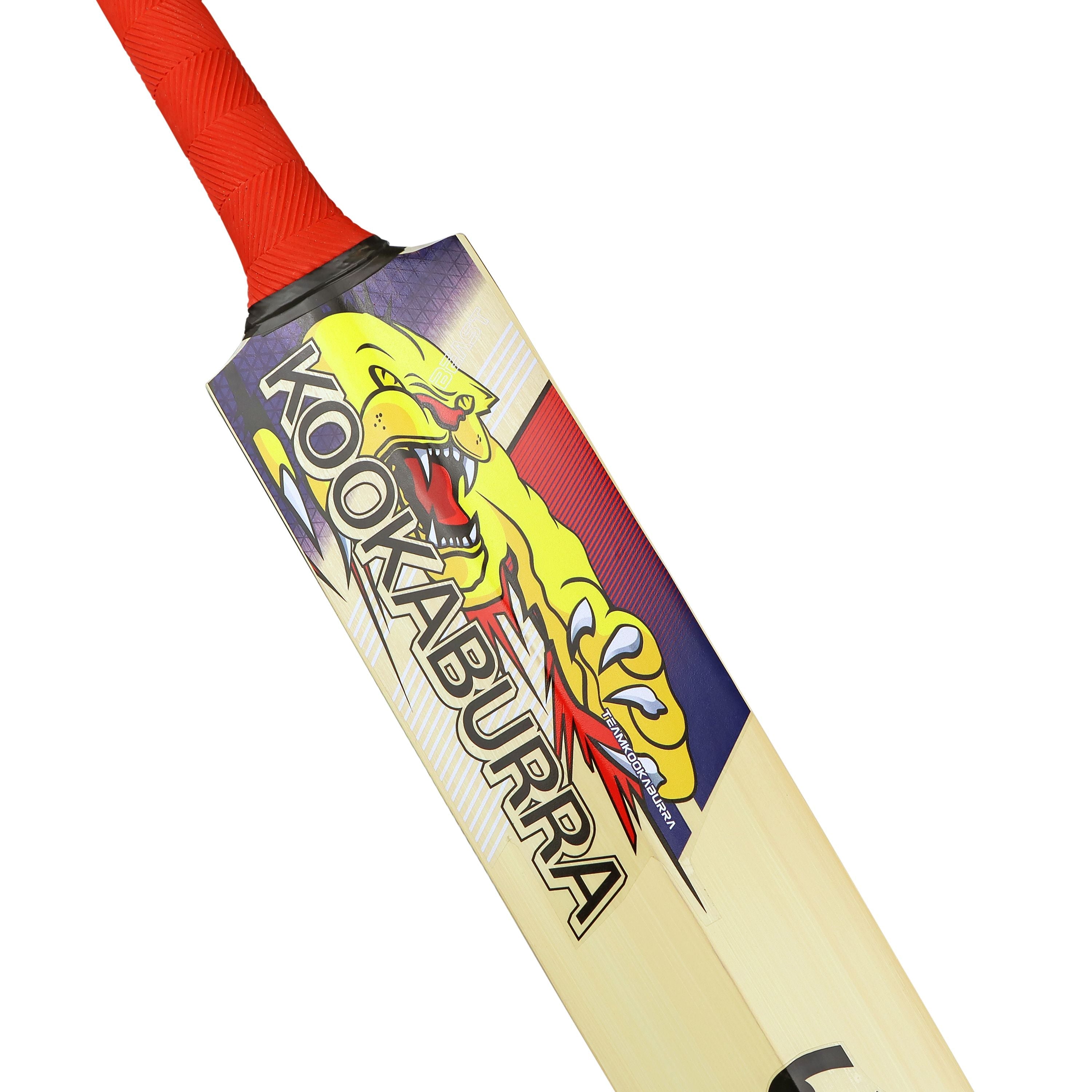 Kookaburra Beast Pro 9.0 Kashmir Willow Junior Bat - The Cricket & Football Warehouse