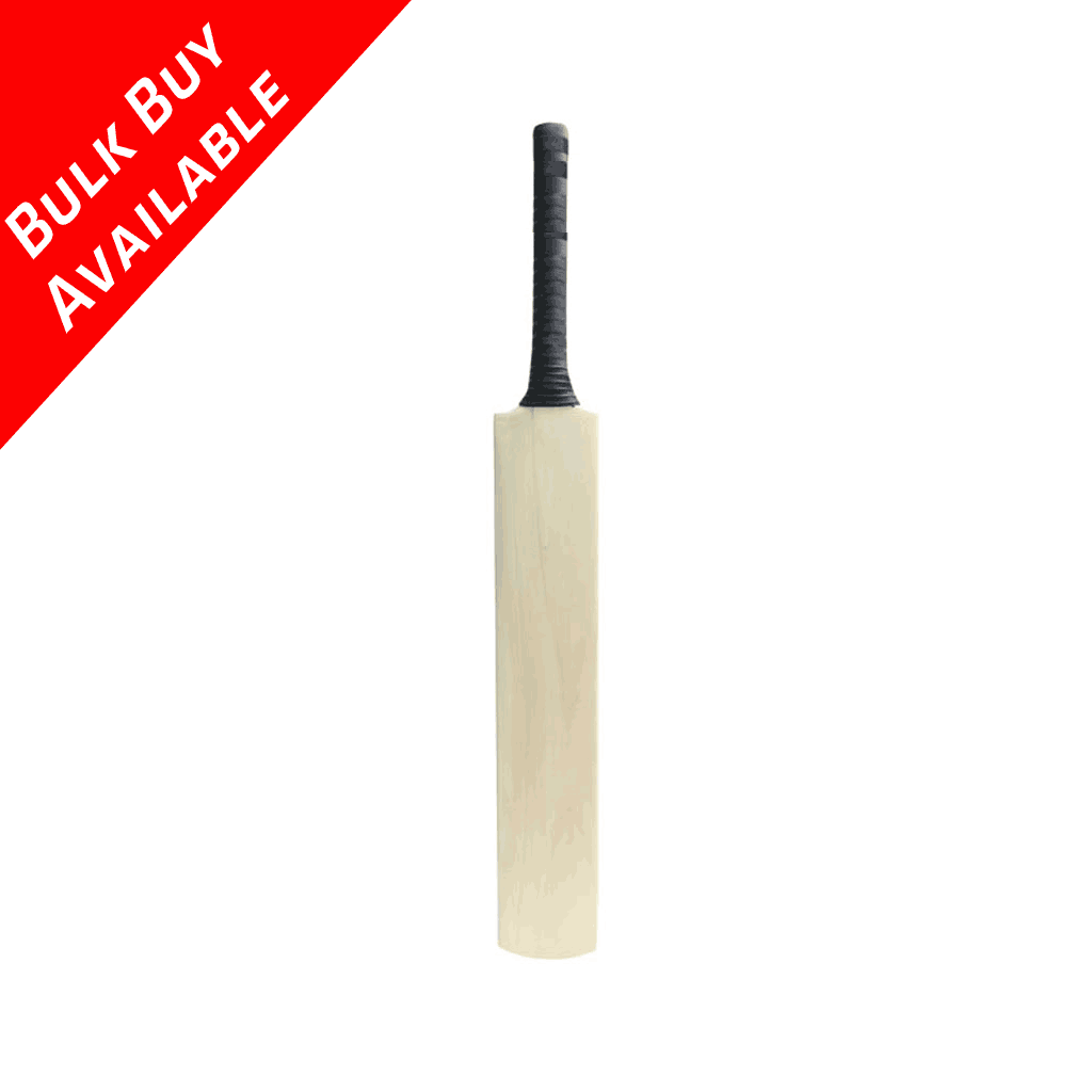 Gray Nicolls Blank Mini Bat - The Cricket Warehouse