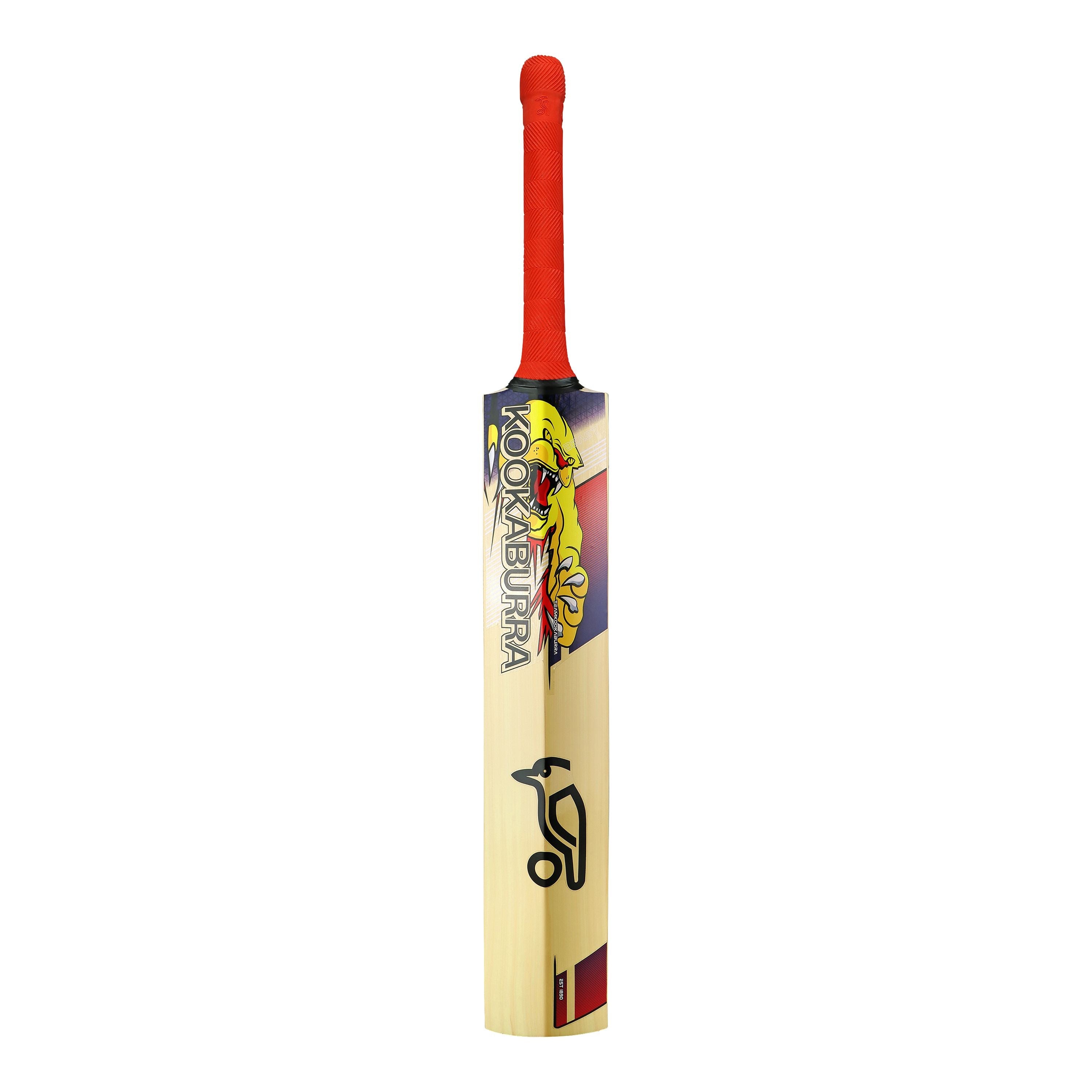 Kookaburra Beast Pro 9.0 Kashmir Willow Junior Bat - The Cricket & Football Warehouse