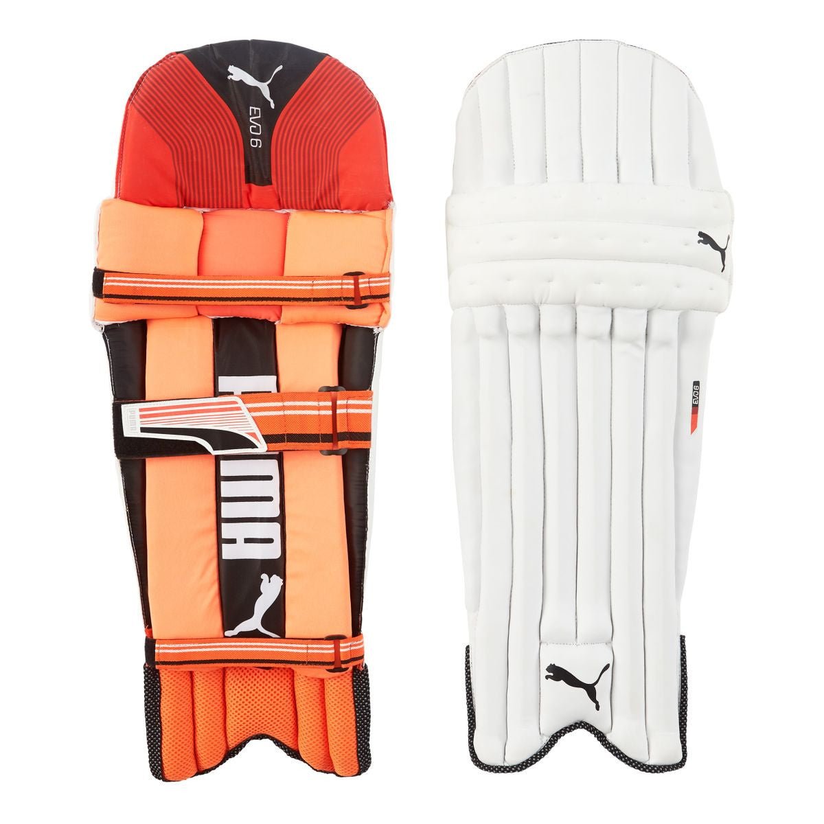 Puma EVO 6 Batting Pads - The Cricket Warehouse